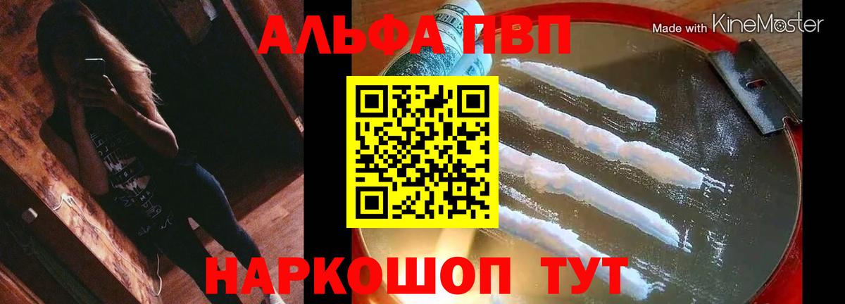 Альфа ПВП СК КРИС Шатура