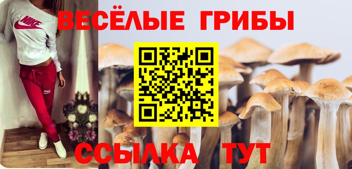 Галлюциногенные грибы Magic Shrooms  Вход с VPN  Шатура  Галлюциногенные грибы Cubensis 