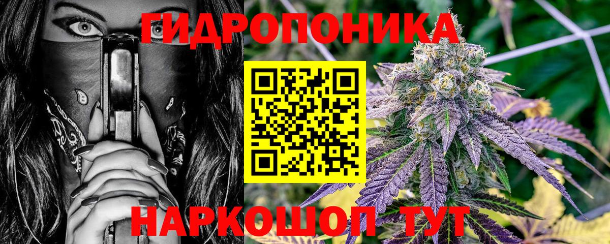 Каннабис Bruce Banner  Вход с VPN  Марихуана марихуана  Шатура  Шишки марихуана OG Kush 